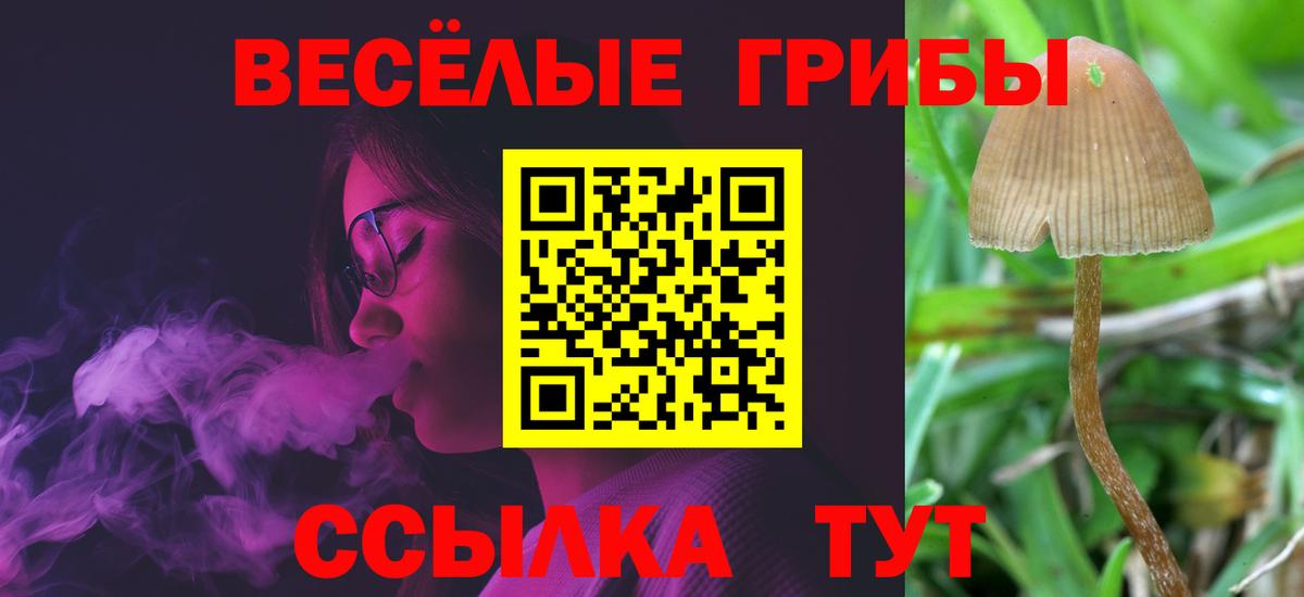 Псилоцибиновые грибы мицелий  Псилоцибиновые грибы Psilocybine cubensis  Вход с VPN  Иваново 